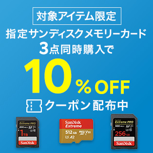 指定サンディスクメモリーカード3点同時購入で10%OFF